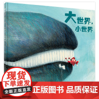 大世界小世界精装绘本3-6岁亲子共读图画书十五对充满反差萌的动物搭档二十四幅极具视觉震撼的创意画作引导孩子思考大与小魔法