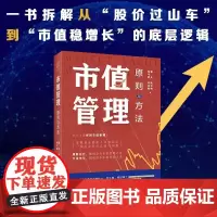 市值管理:原则与方法(首席策略分析师近20年市值管理经验总结!助力企业洞悉市值管理之道 掌舵资本风云 直面市场波涛!)