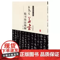 王羲之草书临习技法精解——历代名家碑帖临习技法精解 9787534858970 中州古籍出版社 王红卫 编著