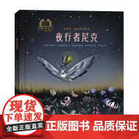 夜行者尼克精装绘本图画书金羽毛暖心科普绘本适合3-6岁海燕出版社正版童书