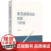 新发展格局论--机制与经验 9787208192546 上海人民出版社 殷德生 著 2024-12