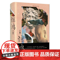 惊鸿 精装 中国小说学会年度长篇小说奖得主、“画家出身的小说家”范迁长篇新作 9787532187201 上海文艺出版社