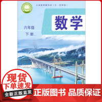 义务教育教科书(五·四学制)数学 六年级 下册(新版教材)