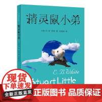 精灵鼠小弟(新)