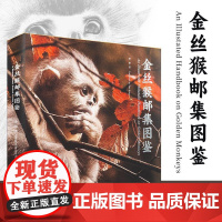 金丝猴邮集图鉴 薛康 著 金丝猴生态与文化图鉴 集知识性、趣味性史料性与收藏性为一体 四川美术出版社