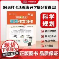 正版 荣恒教育 25版 RJ 暑假专项 四4年级语文 作文习作(活页版) 山东美术出版社