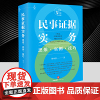 民事证据实务:思维实例技巧 杨中洁 通过实例全面展示办理案件的全过程和流程以及相应的文书和办理案件的思维策略和技巧
