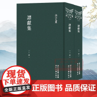 浙江文丛:谭献集(上下全套2册 竖版繁体精装) 晚清学者谭献诗文集随笔作品集 中国古典诗歌随笔散文集学术研究艺术理论正版