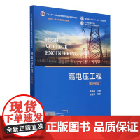 高电压工程 第四版第4版 林福昌 陈维江 中国电力出版社9787519881054商城正版
