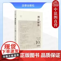 中法图正版 刑法解释 2024总第10卷 魏东 刑法解释学 刑法教义学 案例刑法学 比较刑法学 刑事司法刑事法学刑法理论