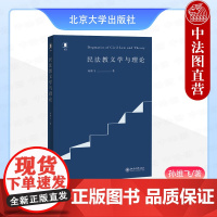 中法图正版 民法教义学与理论 孙维飞 北京大学出版社 侵权行为法学规范综合法律适用社会学概念法律教义学法学理论司法实务书