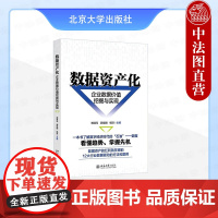 正版 数据资产化:企业数据价值挖掘与实现 郑清元 郭培明 杨洋 北京大学出版社 数据资产确权评估各领域应用风险管理发展前