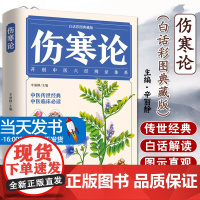 伤寒论正版张仲景原著全集彩色图解伤寒杂病论白话文 中医养生书籍大全医学全书 中医临床知识自学入门零基础学中医古籍出版社