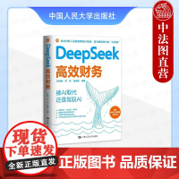 正版 DeepSeek高效财务 孙玥璠 DeepSeek重塑财务管理模式 财务人员AI技能职场生存手册 财务BP分析实操