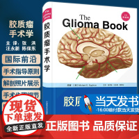 [当天发货]胶质瘤手术学 附视频 迈克尔E苏格鲁 原著 张洪钿 汪永新 陈保东 主译 中国科学技术出版社 9787504