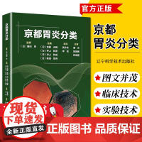 正版 京都胃炎分类 临床医学类书籍 胃炎分类辅助诊断治疗参考书籍 胃炎内镜诊断治疗技术书籍 辽宁科学技术出版社97875