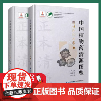 中国植物药清源图鉴.药材和饮片卷 上下册(中国植物药清源书系)林余霖 福建科学技术出版社9787533569679
