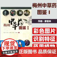 梅州中草药图鉴Ⅰ廖富林[等]编著暨南大学出版社9787566828347