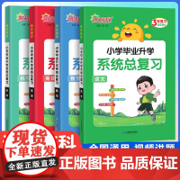 [全国版·附视频讲解]2025阳光同学小学毕业升学系统总复习语文数学英语人教版小升初专项训练试训练汇总大全阅读技巧复习资