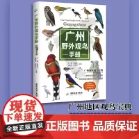 广州野外观鸟手册江涛著中小学观鸟实践活动500余种鸟类的形态特征生境习性观鸟爱好者生态保护广州观鸟点手绘图鉴和照片书籍