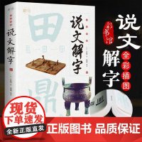 说文解字正版 小学生少儿学习汉字演变图解象形文字书字典给孩子的汉字王国一年级二三年级读物甲骨文字的演变注咬文嚼字合订本