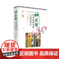 神农架药用植物资源与基因鉴定