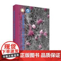 血浆基质与口腔种植组织再生 作者: 张玉峰 黄长波 李永军