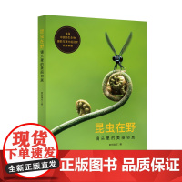 昆虫在野——镜头里的美丽邻居