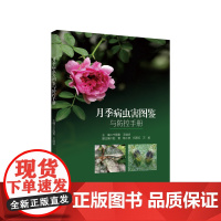 月季病虫害图鉴与防控手册 用药指南 症状