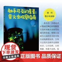 触手可及的星星:萤火虫观察指南