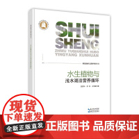 水生植物与浅水湖泊营养循环--湖北湿地生态保护研究丛书