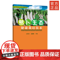 正品 《萝卜生态健康栽培技术》 2020年农家书屋重点出版