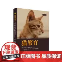 猫繁育 正版图书
