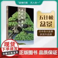 五针松盆景造型实例图解 绿手指日本盆景大师系列 武桂名译 中文版