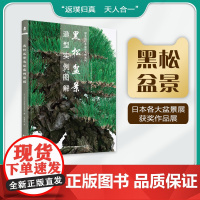 黑松盆景造型实例图解 绿手指日本盆景大师系列 贺寅秋译 中文版