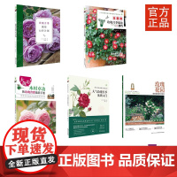 玫瑰大师系列(5本)