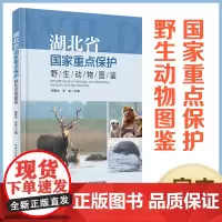 新书 湖北省国家重点保护野生动物图鉴