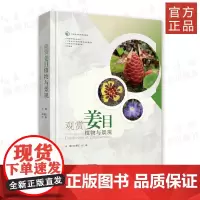 《观赏姜目植物与景观》精装 姜科-观赏植物 收录姜目植物8科56属348种(包含变种及栽培种)
