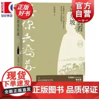陪你去看苏东坡(全新增订版) 衣若芬著上海人民出版社新加坡联合早报年度十大好书中国文化随笔