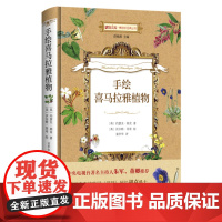 手绘喜马拉雅植物 一部妙趣横生的彩色植物插图著作 适合艺术爱好者收藏的尽善尽美的作品