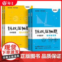 2025新版挑战压轴题中考数学物理化学入门篇精讲篇强化篇专项训练七年级八年级九年级必刷题初中初一初二初三总复习中考数学压