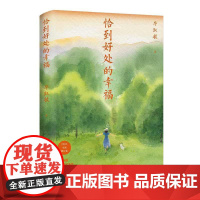 恰到好处的幸福2025版 毕淑敏湖南文艺出版社