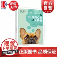 DK狗狗心思大揭秘 汉娜莫洛伊著马克舍伊布迈尔绘宠物生活图书上海文化出版社汪星人情绪行为档案大公开捡屎官养狗撸狗攻略全解