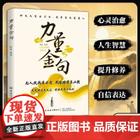 []力量金句 无人扶我青云志 我自踏雪至山巅 关关难过关关过 前路漫漫亦灿灿正版书籍