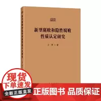 新型腐败和隐形腐败性质认定研究 中国方正出版社