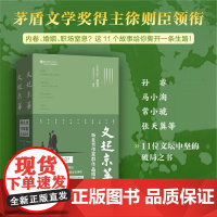 《文起京华:新北京作家群作品精选》(全二册) 徐则臣 孙睿 马小淘 等 9787559671769 北京联合出版社