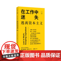 在工作中迷失:逃离资本主义(努力不一定带来满足,摸鱼可能有点道理)9787532191956 上海文艺出版社 阿梅利亚