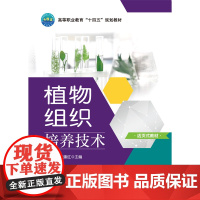 正版 植物组织培养技术(活页式)杨霞 张建红主编9787565532559 中国农业大学出版社店