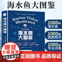 海水鱼大图鉴 1000种深海鱼成长图鉴大全大太平洋 海洋动物4K图鉴书海洋世界儿童书揭秘海洋百科全书海底生物彩色图鉴书籍