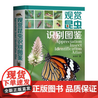 [1500余张高清彩图]观赏昆虫识别图鉴 陈淮安 近千首原创口诀 科普读物鳞翅目鞘翅目半翅目双翅目蜻蜓目膜翅目直翅目观赏